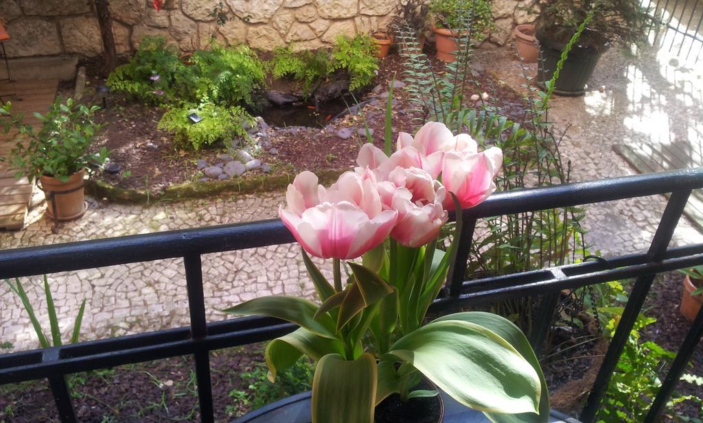 Whatever Art B&B Лиссабон Экстерьер фото